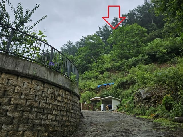 B0002522024013003554310.jpg