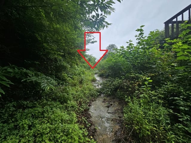 B0002522024013003554311.jpg
