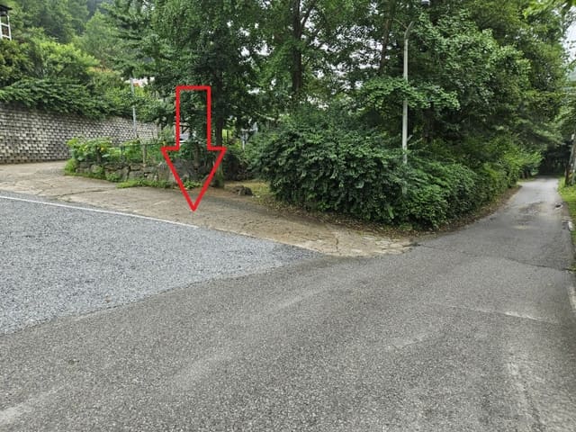 B000252202401300355439.jpg