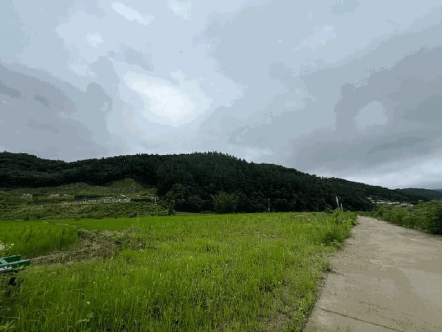 B000252202401300365394.jpg