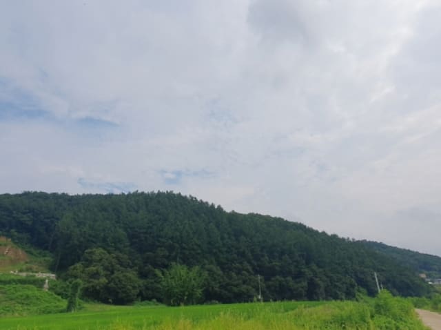 B000252202401300365397.jpg