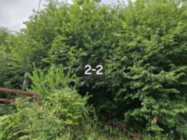 B000252202401300366213.jpg