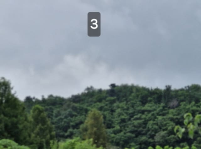 B000252202401300366214.jpg