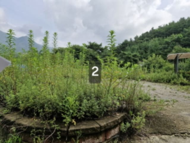 B000252202401300366212.jpg