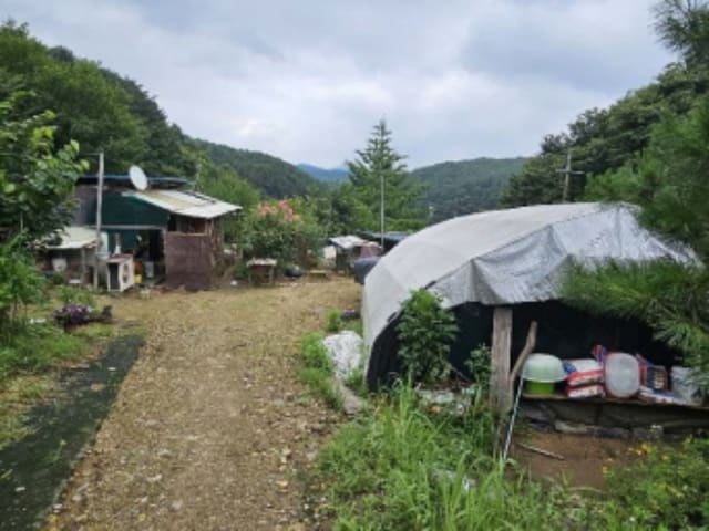 B000252202401300368122.jpg