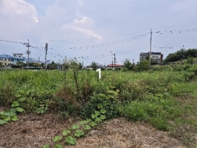 B000252202401300372281.jpg