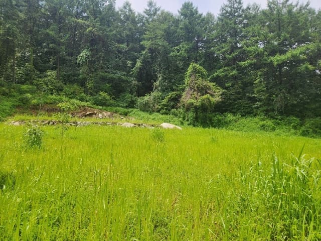 B000252202401300372423.jpg