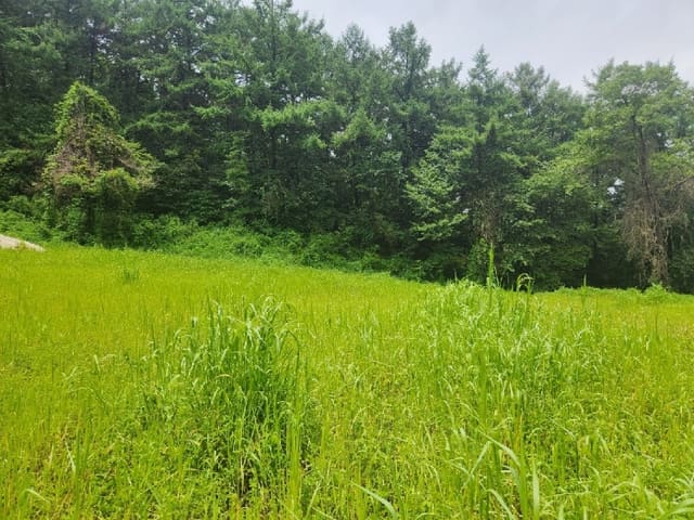 B000252202401300372424.jpg