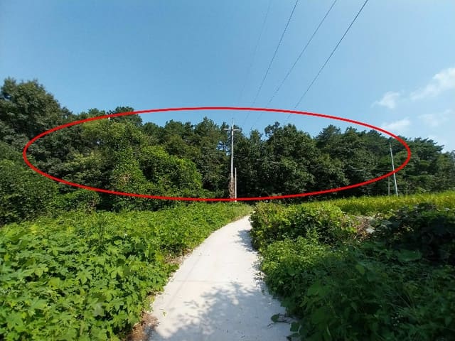B000252202401300380924.jpg