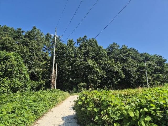 B000252202401300380921.jpg