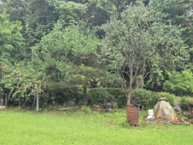 B000252202401300381084.jpg