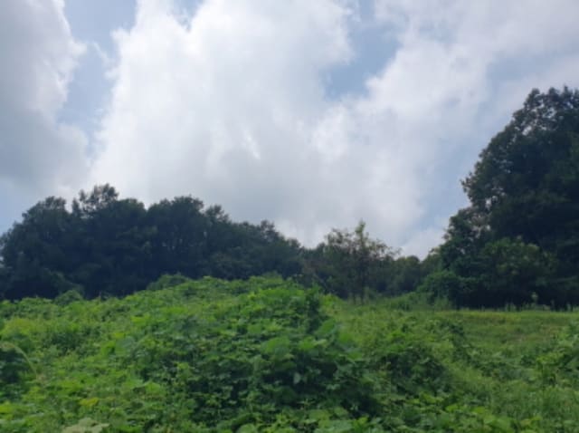 B000252202401300382452.jpg