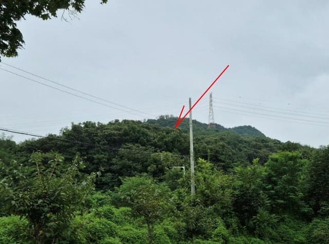 B000252202401300384054.jpg