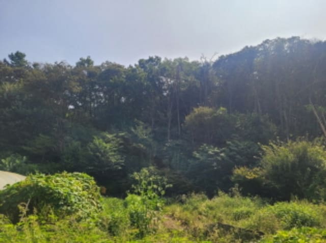 B000252202401300384051.jpg