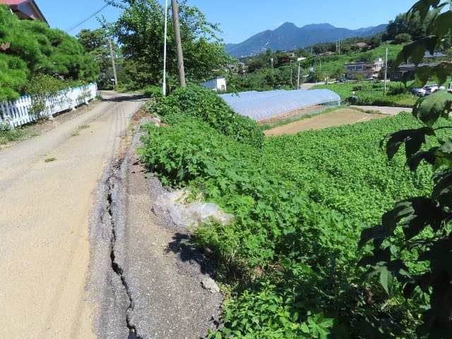 B0002522024013003857320.jpg