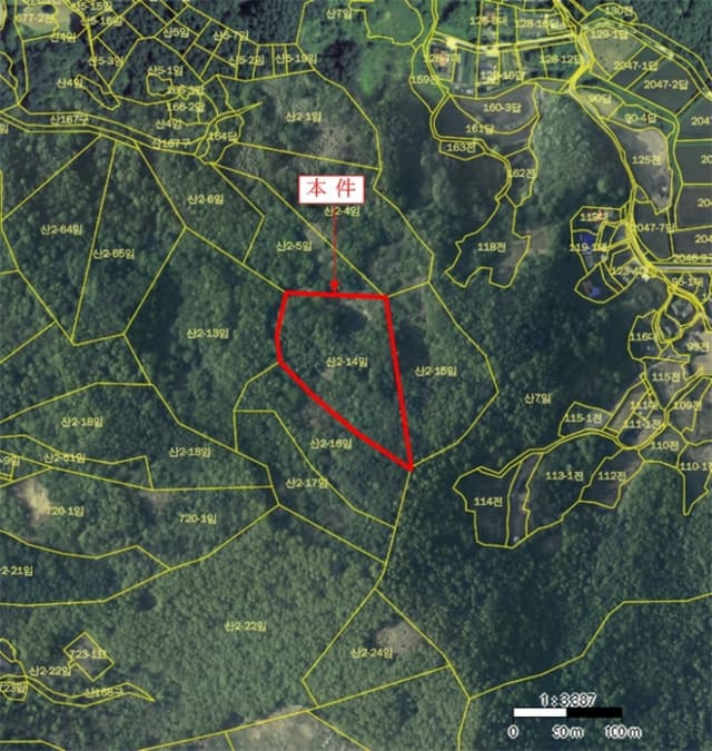 B000252202401300389554.jpg