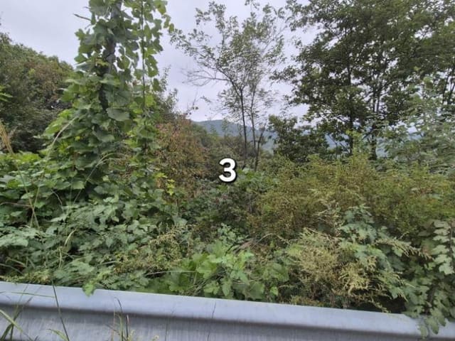 B000252202401300391014.jpg