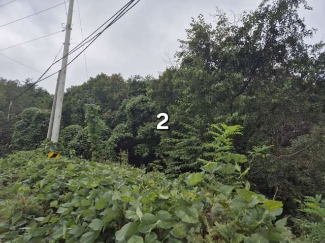 B000252202401300391012.jpg