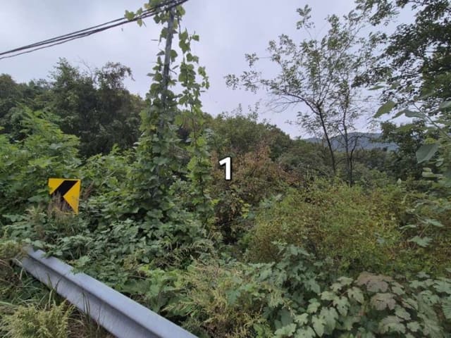 B000252202401300391011.jpg
