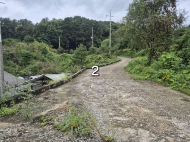 B000252202401300392864.jpg