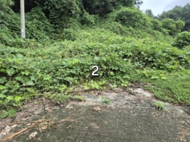 B000252202401300392862.jpg