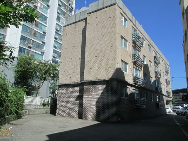 B000252202401300395694.jpg