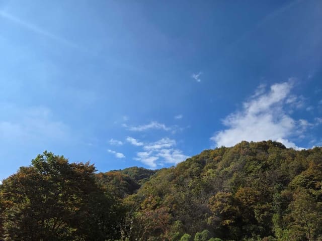 B000252202401300397123.jpg