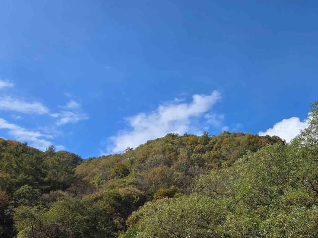 B000252202401300397121.jpg