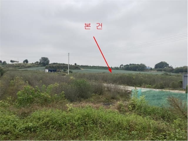 B000252202401300397812.jpg