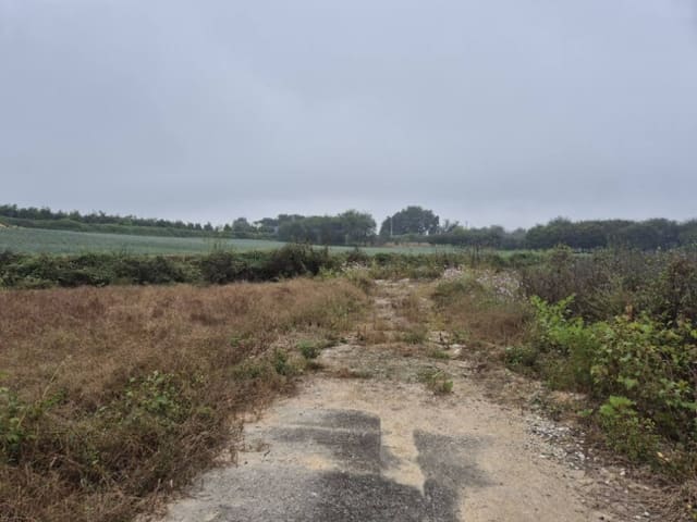 B000252202401300397811.jpg