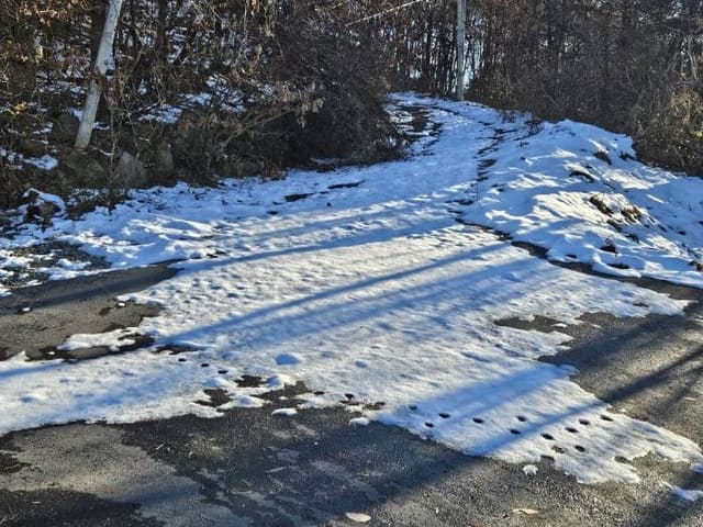 B000252202401300398352.jpg