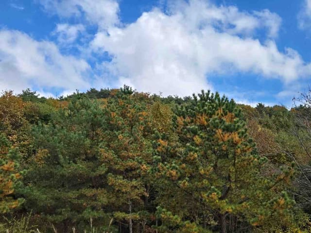 B000252202401300403231.jpg