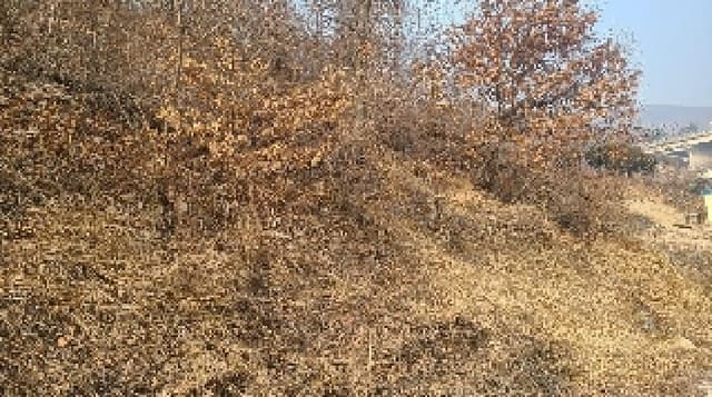 B000252202401300406061.jpg