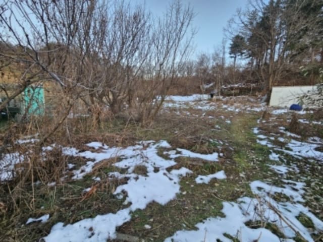B000252202401300413714.jpg