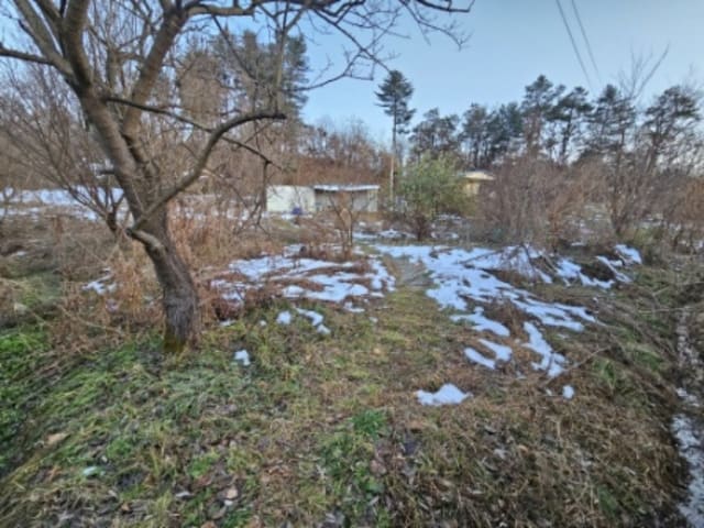 B000252202401300413713.jpg