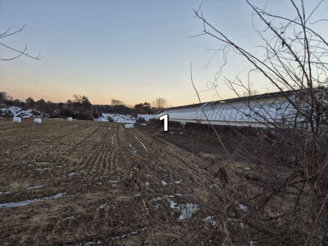 B000252202401300415481.jpg