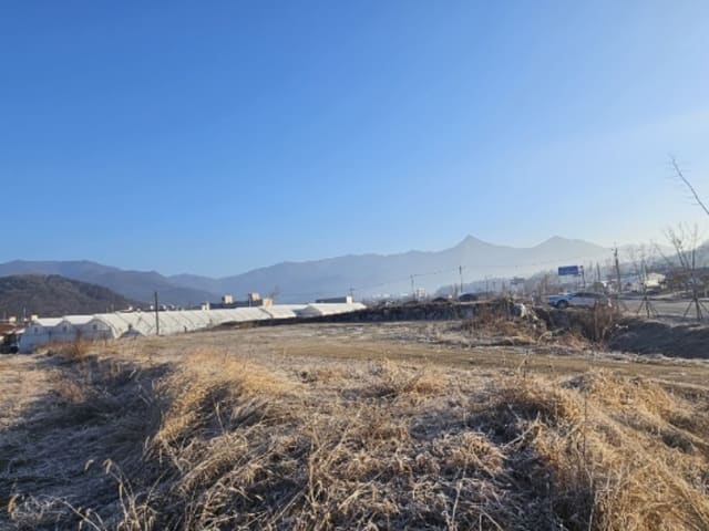 B000252202401300417152.jpg