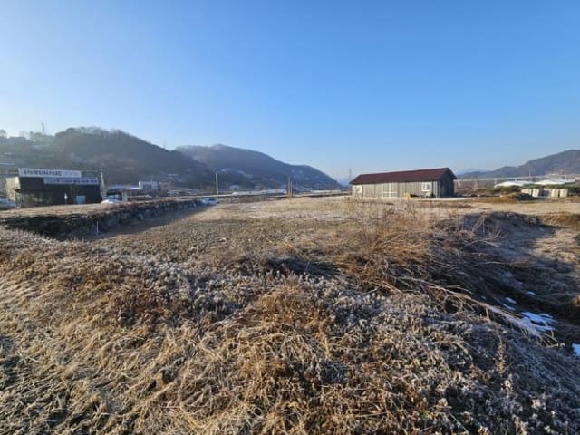 B000252202401300417153.jpg