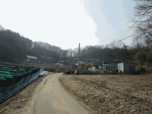 B000252202401300427564.jpg
