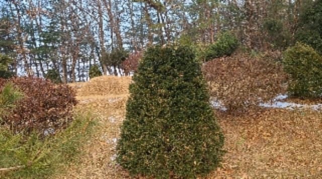 B000252202401300428001.jpg