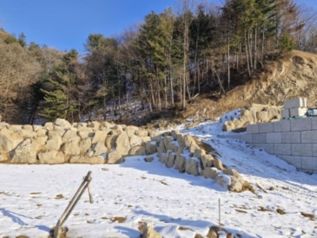 B000252202401300429541.jpg