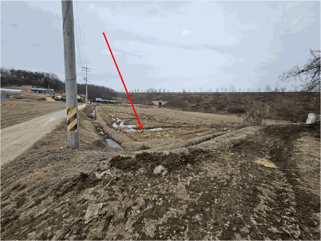 B000252202501300004904.jpg