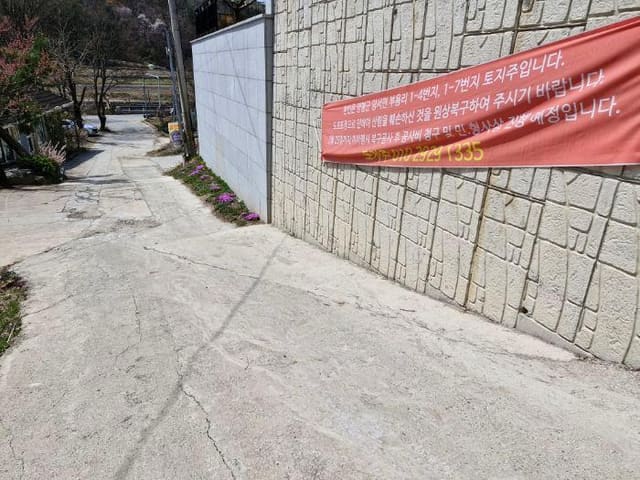 B000252202501300005291.jpg