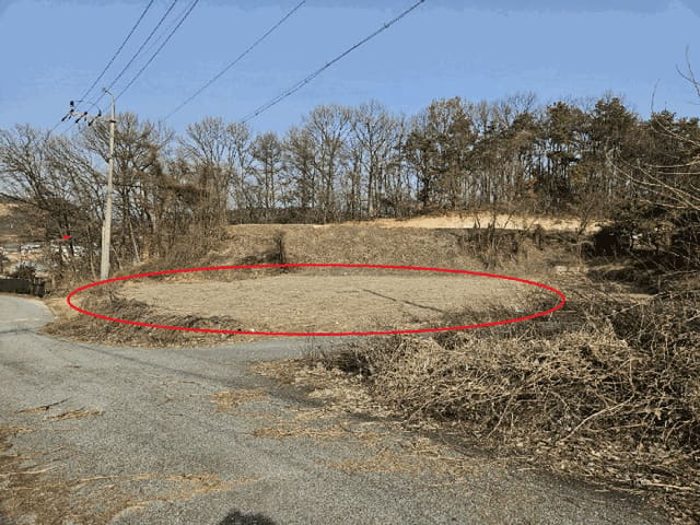 B000252202501300005334.jpg