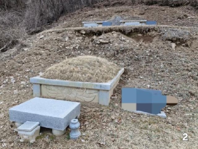 B000252202501300005662.jpg