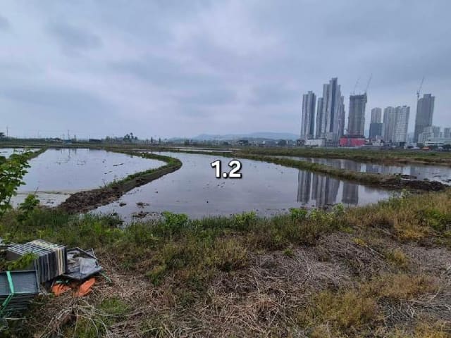 B000252202501300006324.jpg