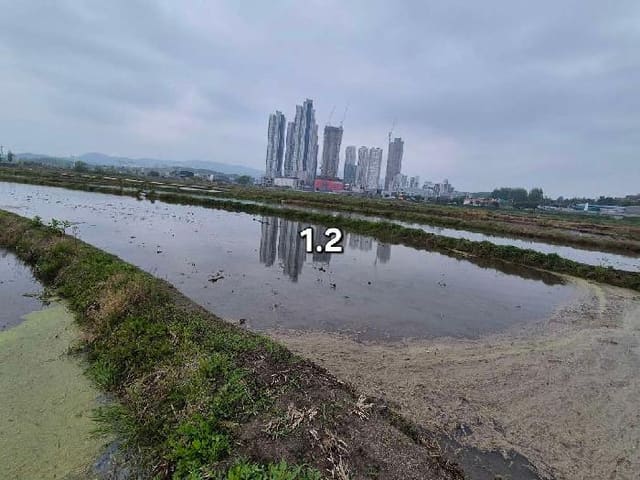 B000252202501300006321.jpg