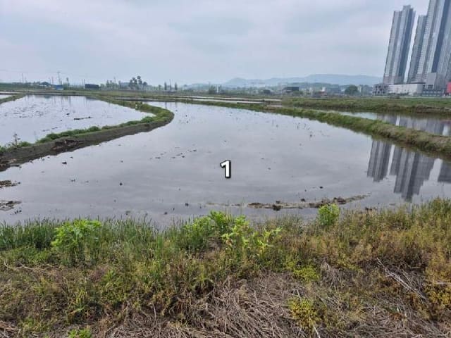 B000252202501300006322.jpg