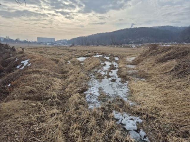 B000252202501300301011.jpg