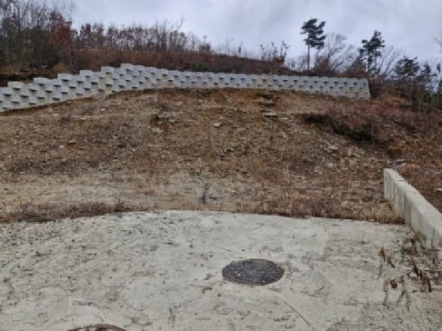 B000252202501300309353.jpg